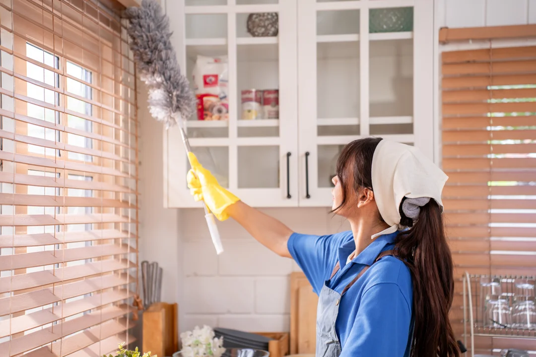Move-in and move-out cleaning for a Boulder property